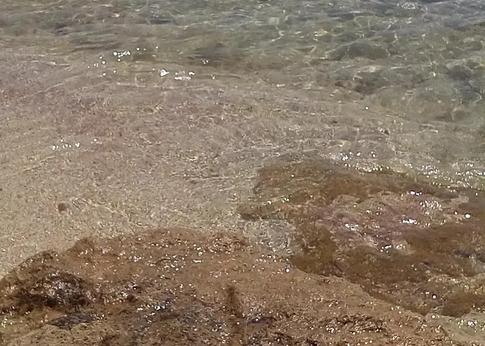 Cala Del Conte Apartmán Torre Colimena