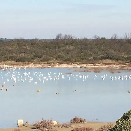 Cala Del Conte Apartment